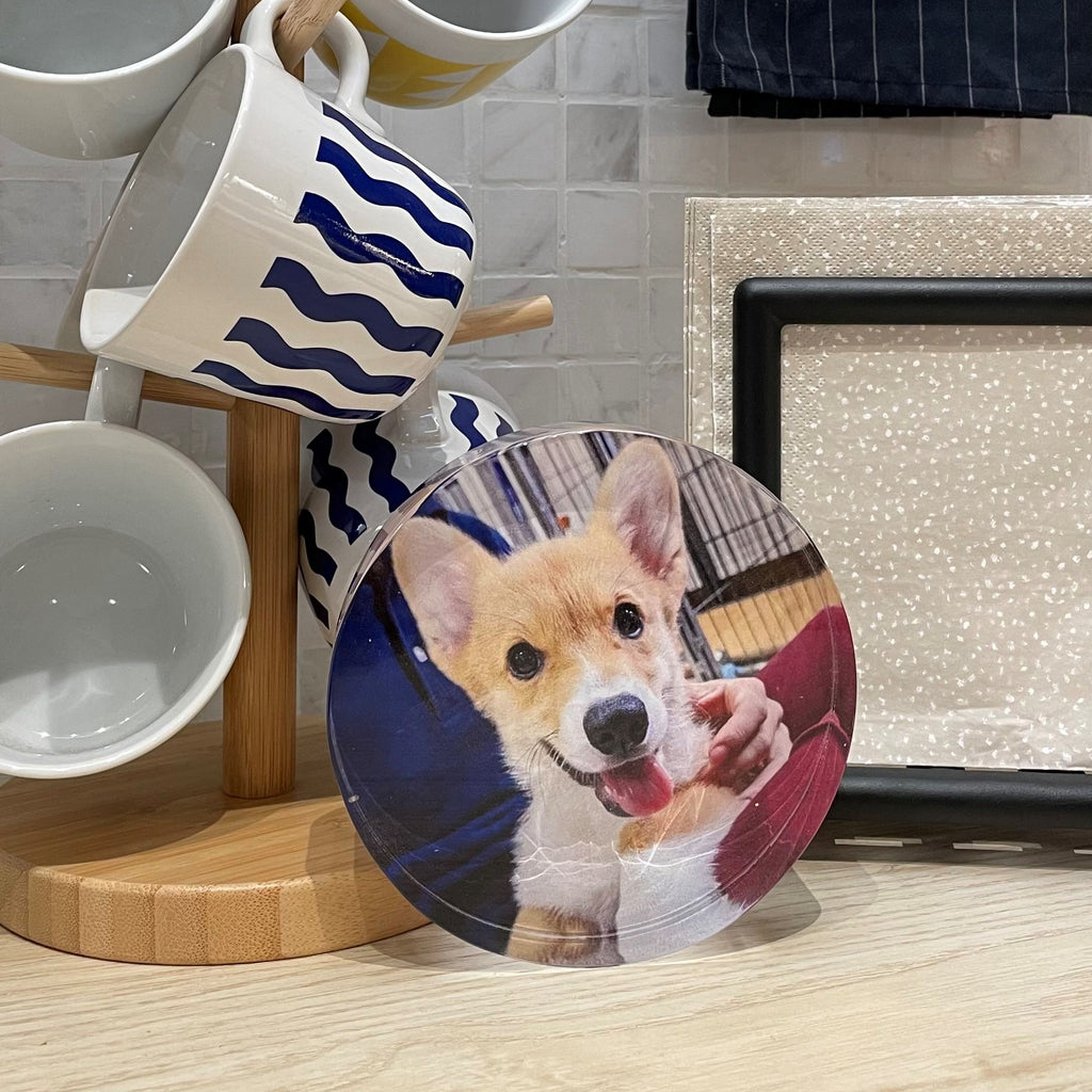 Corgi dog in circle acrylic photo block